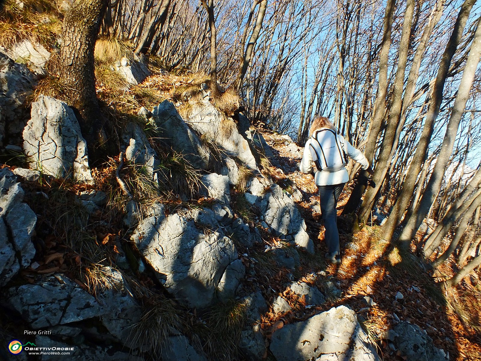 08 A tratti il sentiero passa nel bosco.JPG